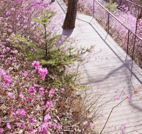 화담숲 주변 맛집 가볼만한곳