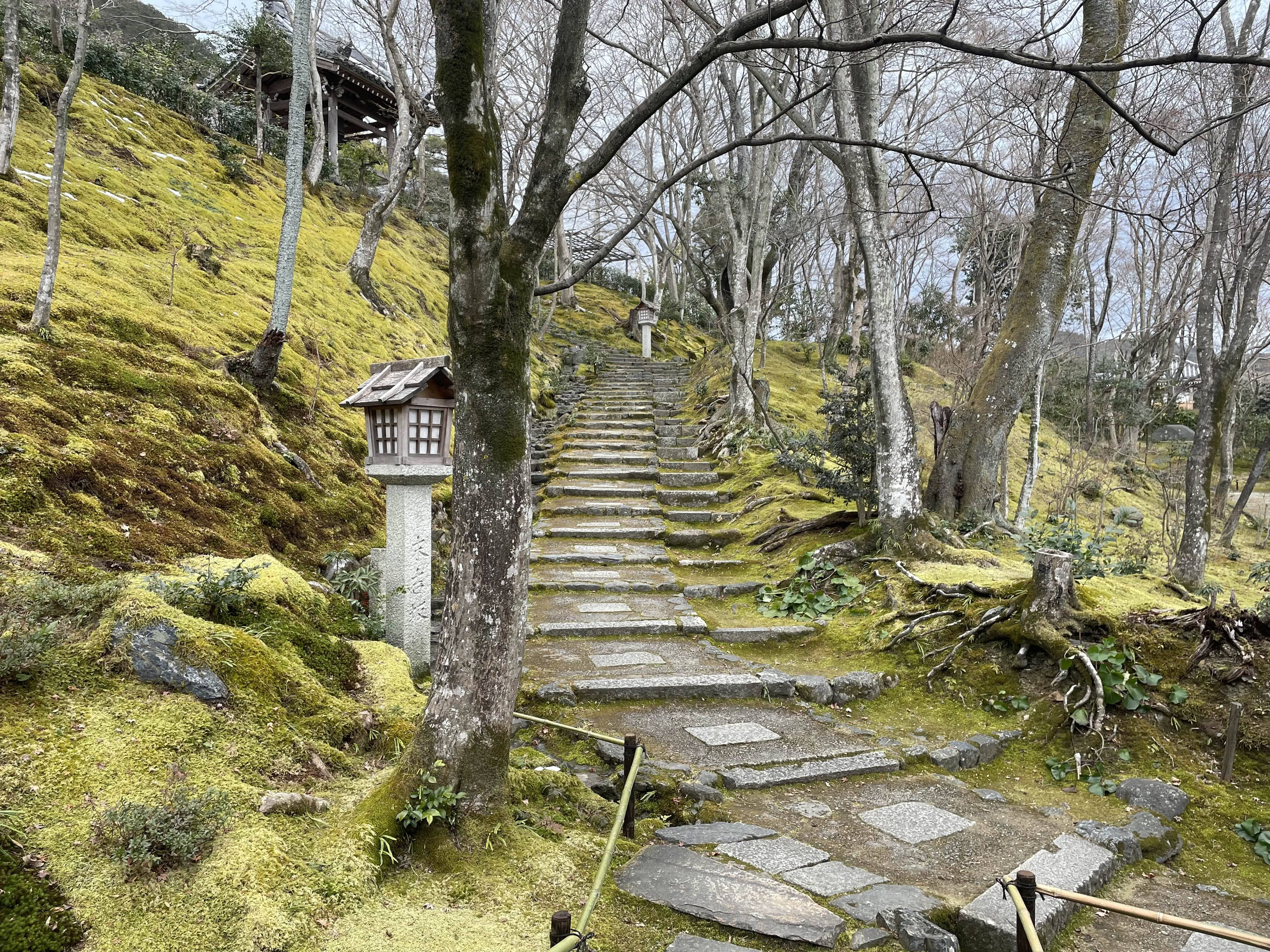 교토역 2박 3일 코스 아라시야마 상적광사 풍경