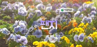 8월에 심는 꽃, 8월 파종 꽃씨_30