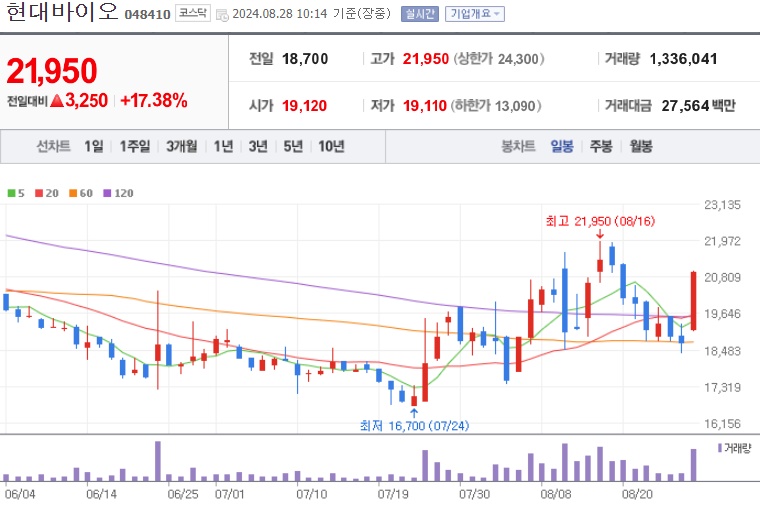 현대바이오 주가