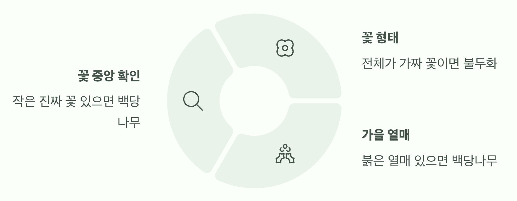 이제 당신도 식물 박사!