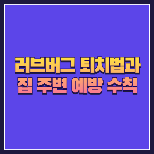 러브버그 퇴치법과 집 주변 예방 수칙