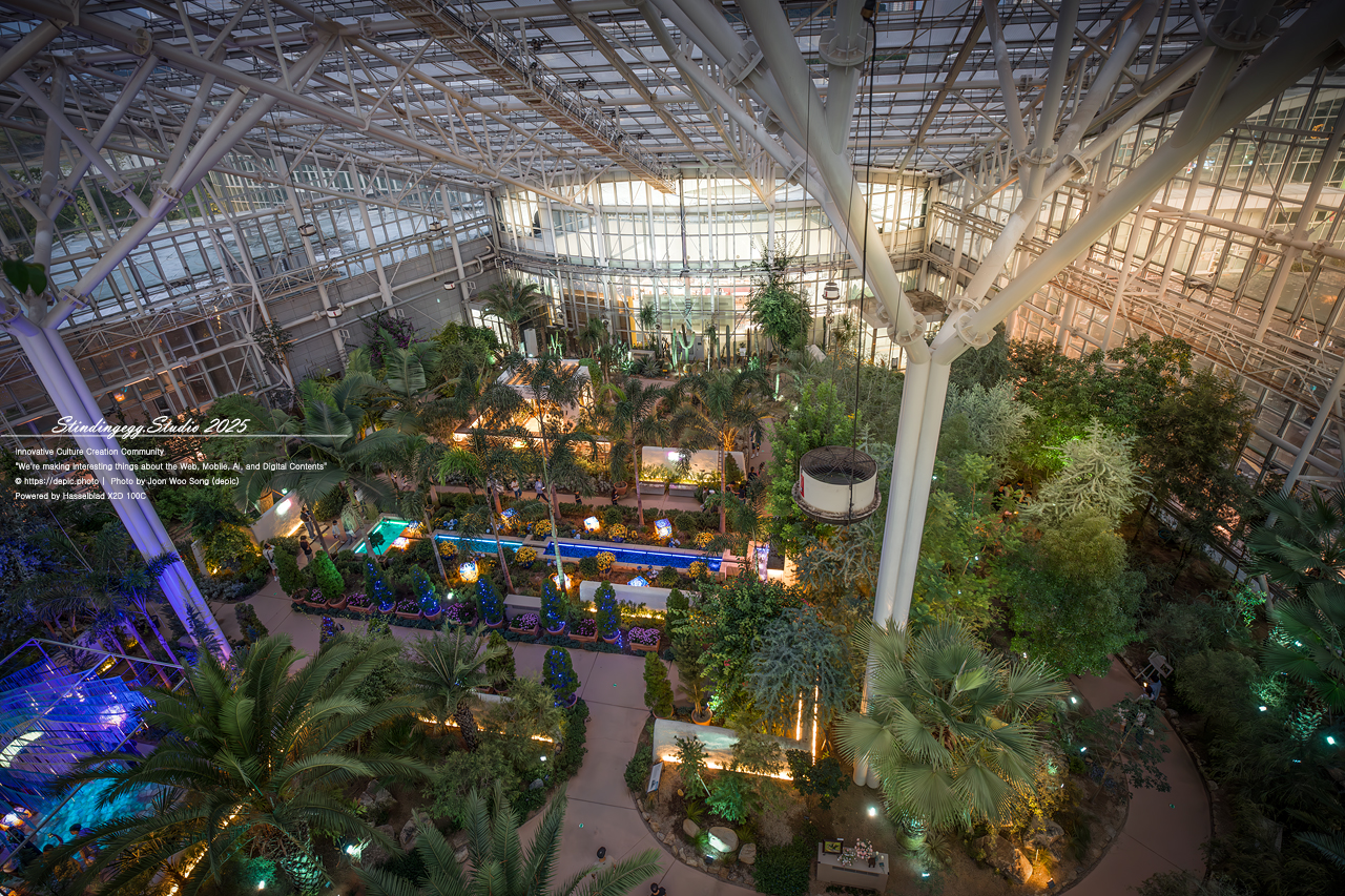 #세종 #세종수목원 #야간개장 #고흐