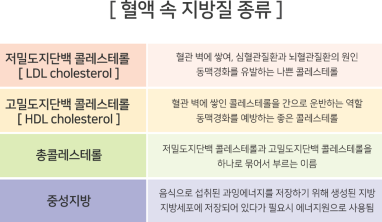 지질종류