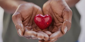 심근경색 보험 [심근경색 보험 가입요령]