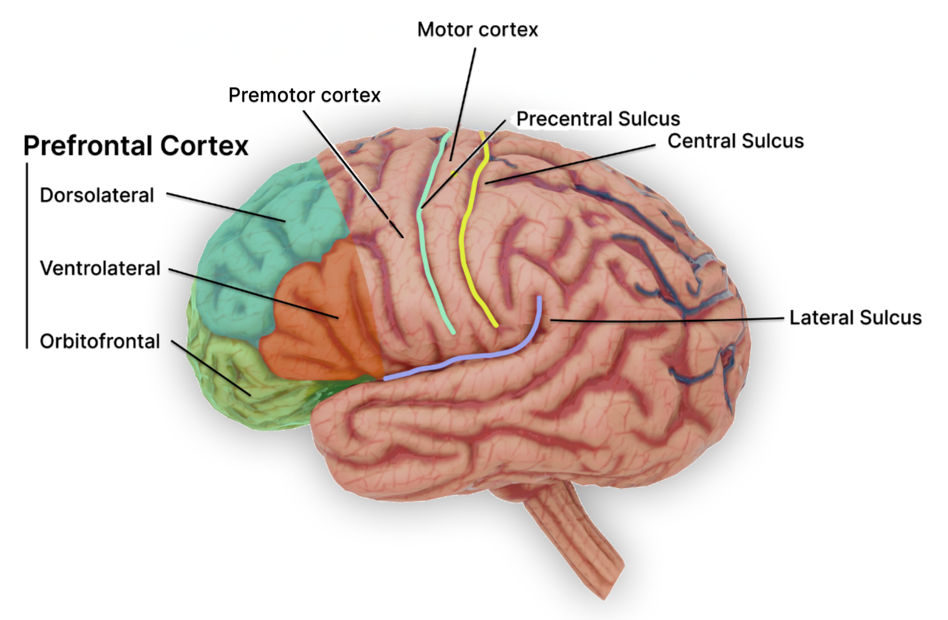 미리 이루어진 것처럼 상상하면 왜 행동력이 올라갈까?
