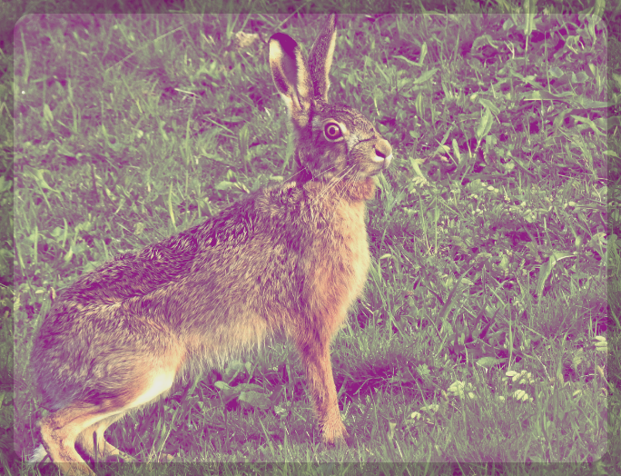 예상치 못한 지출, 투자 손실 가능성