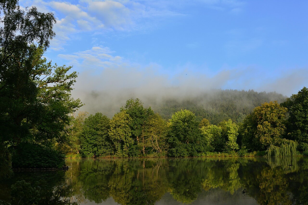 조경직 공무원 되는 법 🌳 자연과 함께하는 안정된 공무원 직업 알아보기