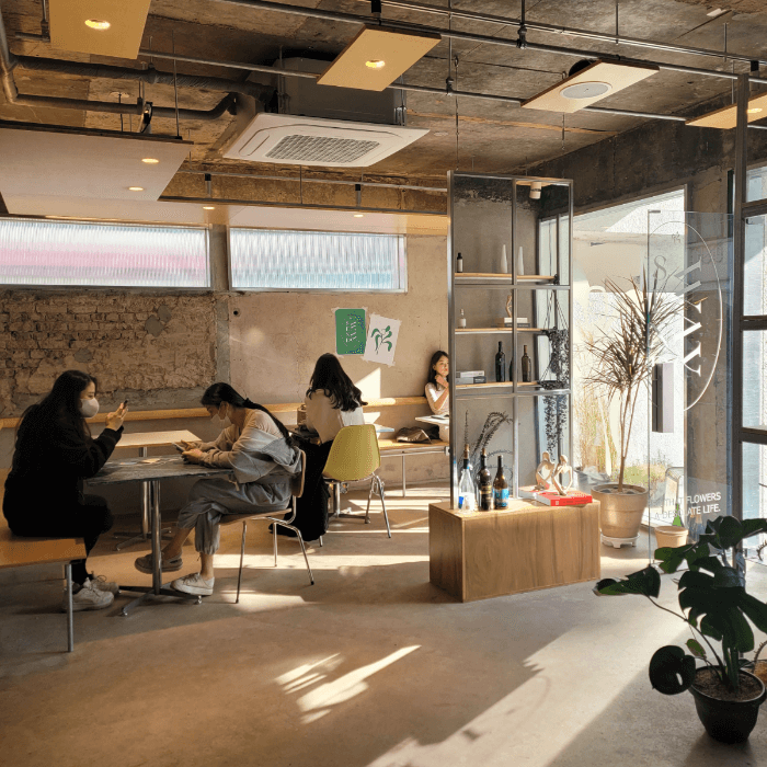 카페-창문-햇살