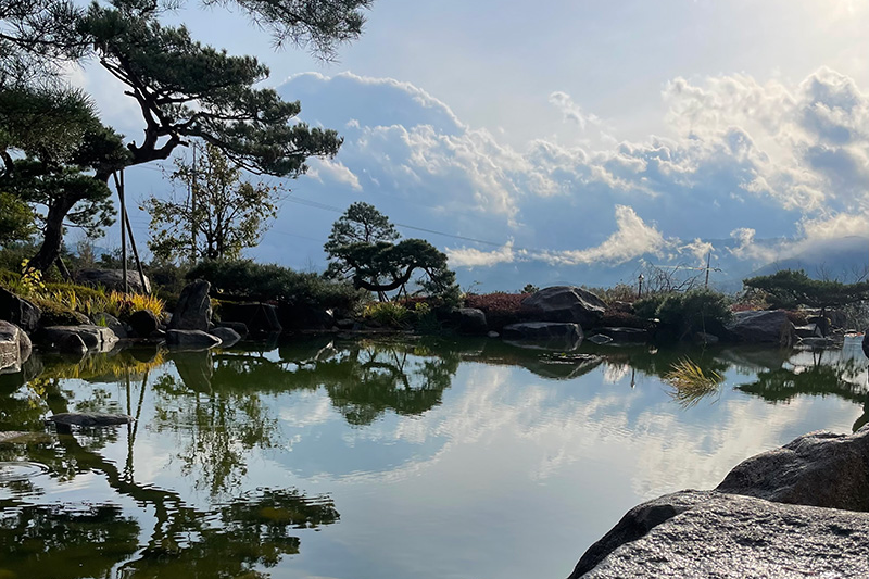 특색 있고 아름다운 민간 정원 30선 추천 여행 - 15. 구례 반야원 & 플라타너스