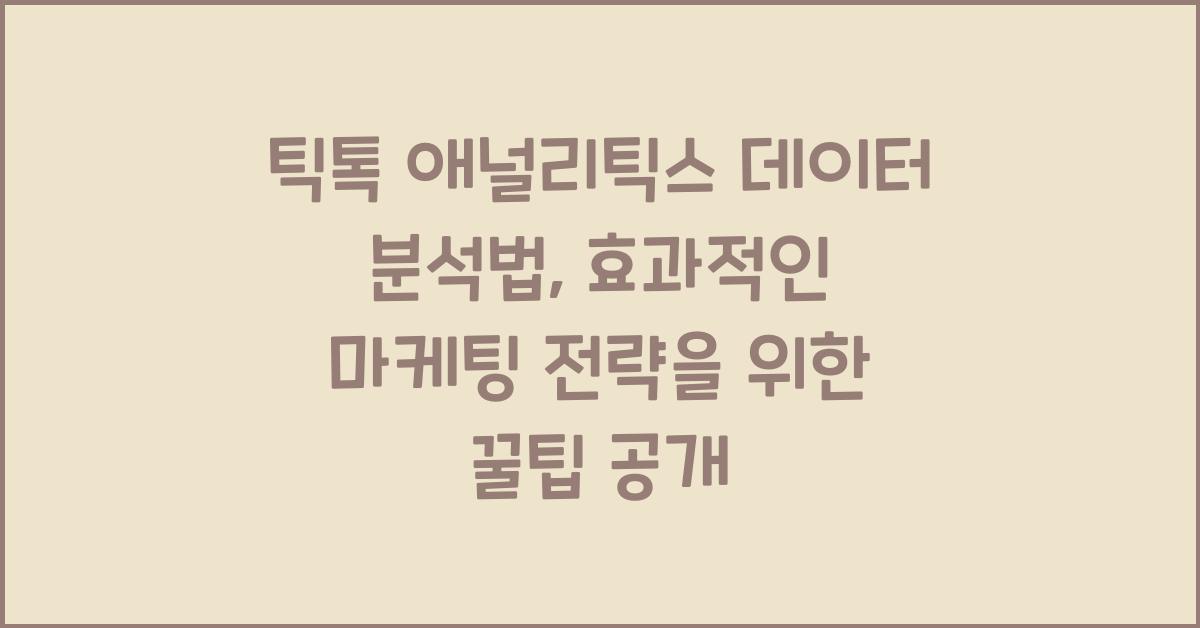 틱톡 애널리틱스 데이터 분석법