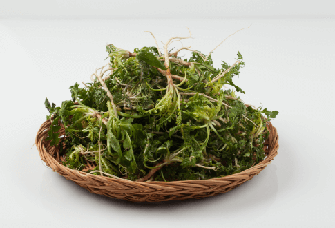 소쿠리에 담긴 생 냉이