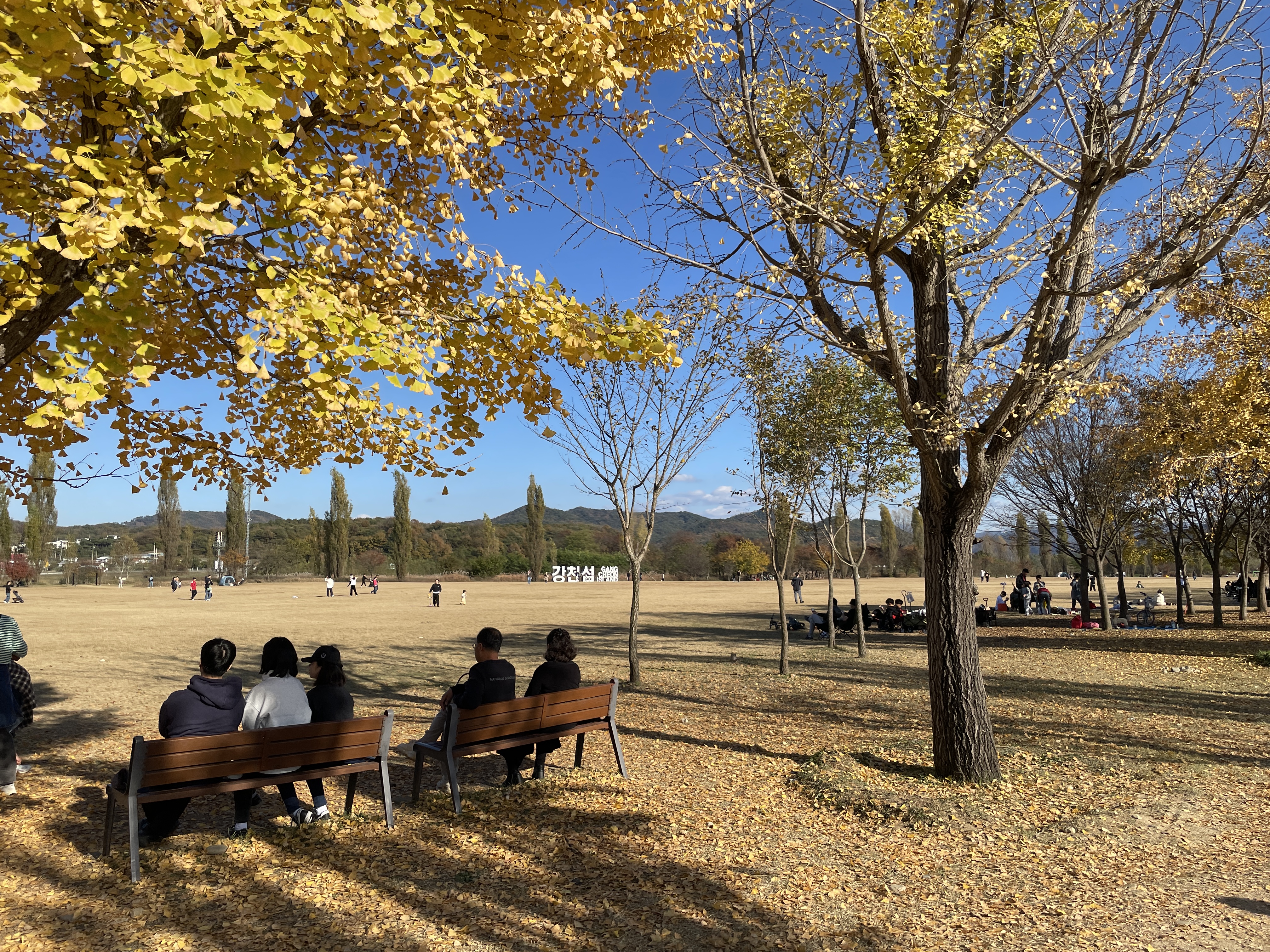 단풍놀이 강천섬