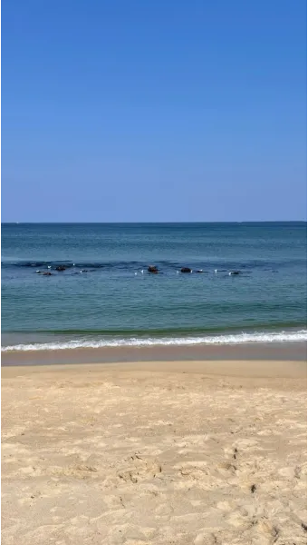 강릉 맛집 추천 여행코스에 포함하기 좋은 식당 리스트_28