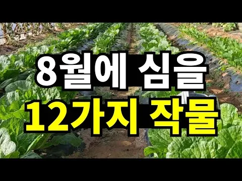 8월에 심는 작물 종류와 늦기 전 파종법 추천_6