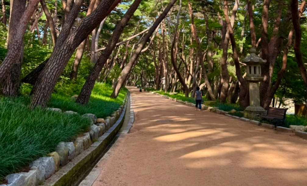 통도사 들어가는 길