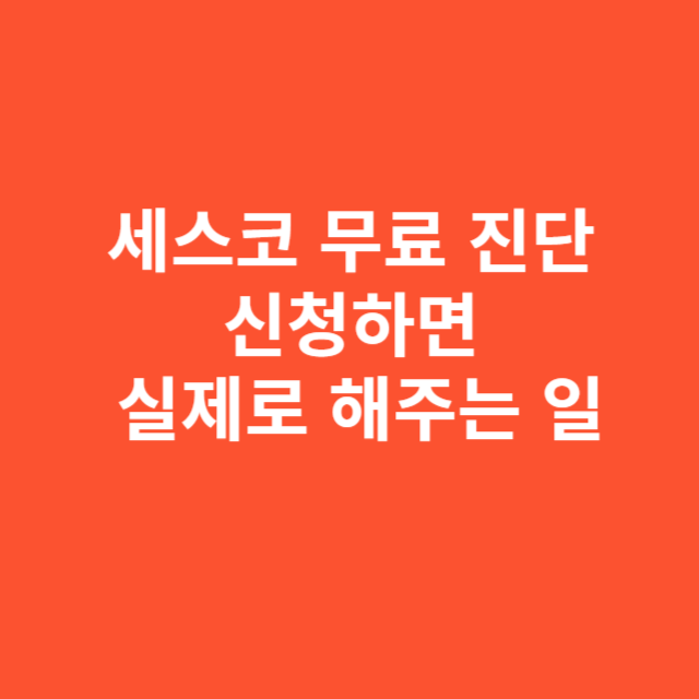 세스코 무료 진단 신청하면 실제로 해주는 일