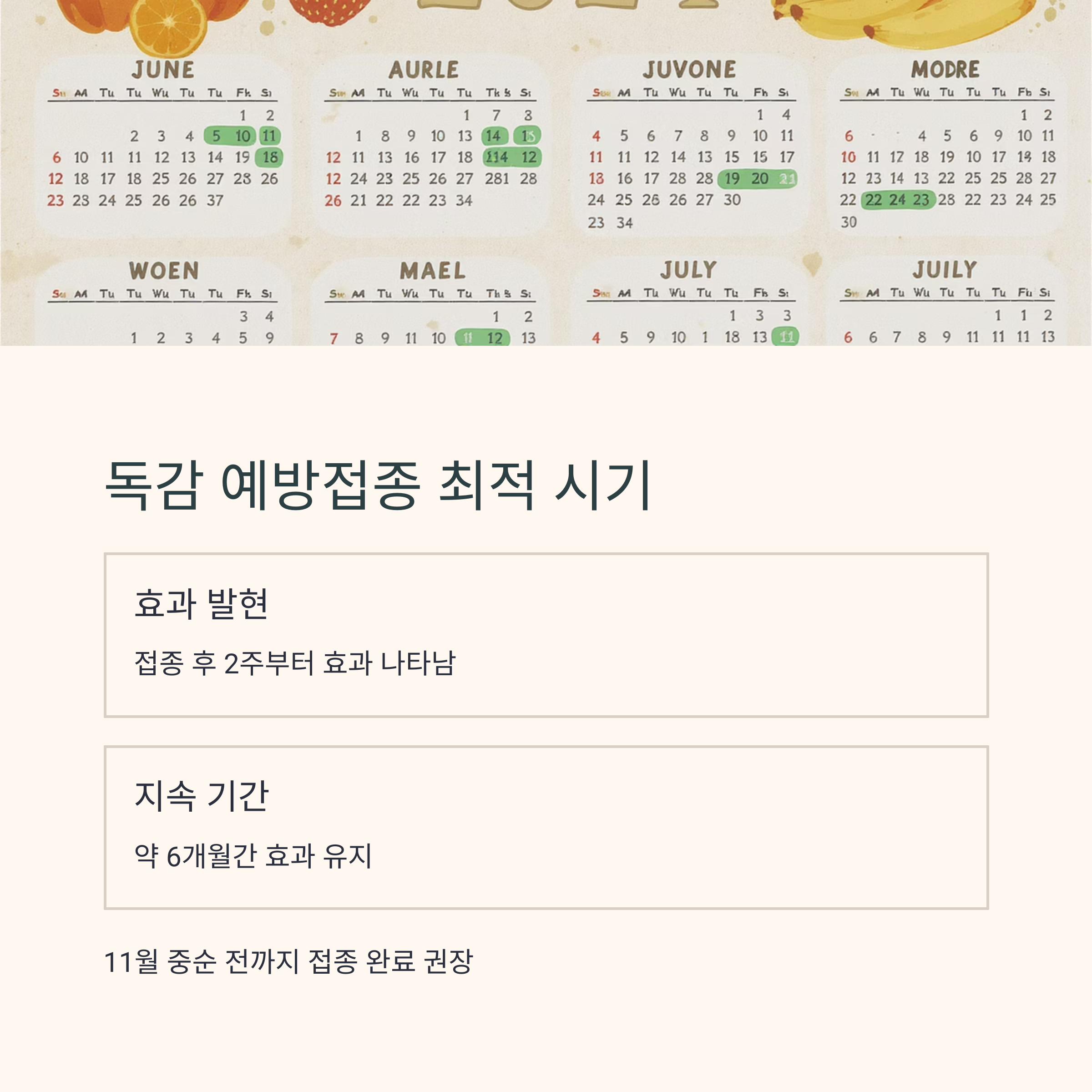 독감 예방접종의 효과 발현 시기와 지속 기간을 안내한 인포그래픽 이미지. 접종 후 2주부터 효과, 약 6개월간 지속 강조