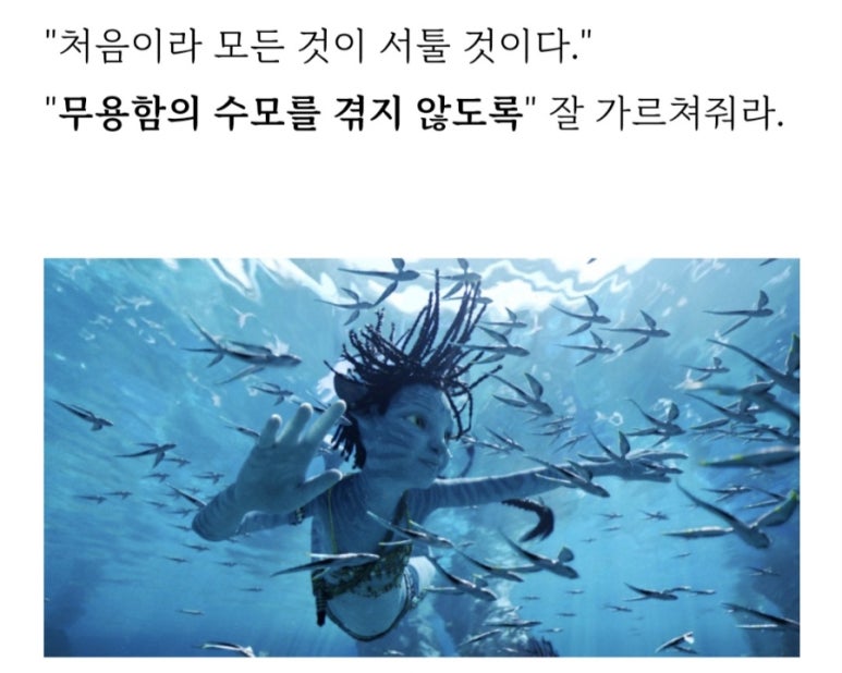 무용함의 수모
