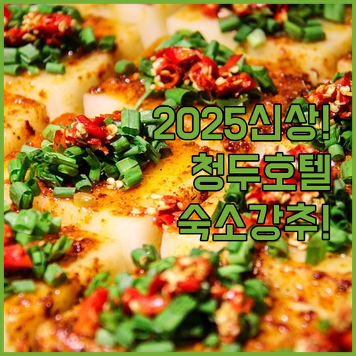 2025년 오픈 신상 호텔 청두 여행..