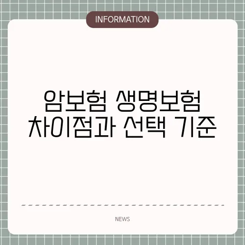 암보험 생명보험 차이점과 선택 기준 🔍