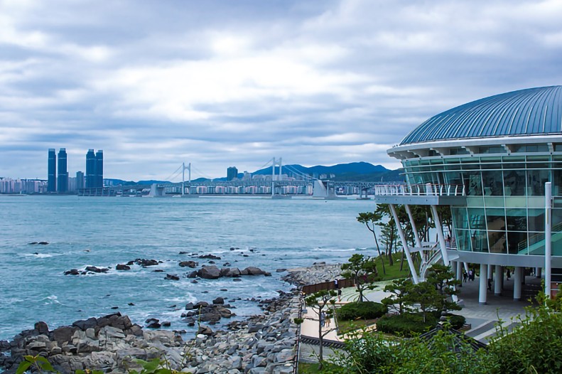 남쪽에서 북쪽까지, 국내 봄 기차여행 총정리