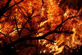 LA 산불 원인 산불지역 지도 위치 진화현황 산불 피해액