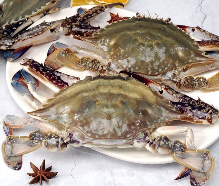 꽃게의 매력에 푹 빠져보자: 꽃게의 모든 것