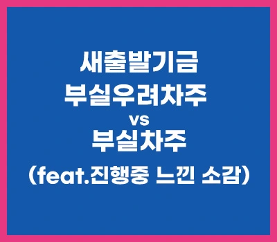 새출발기금-부실우려차주vs부실차주