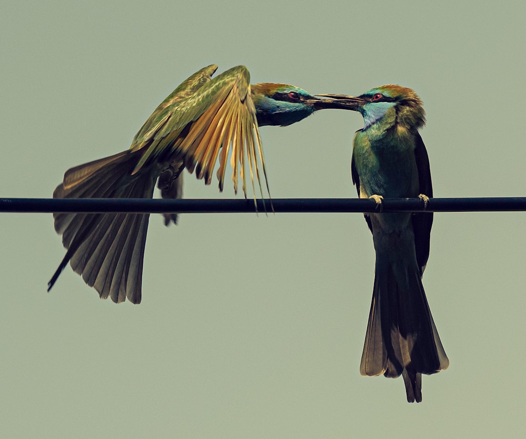 Communication.