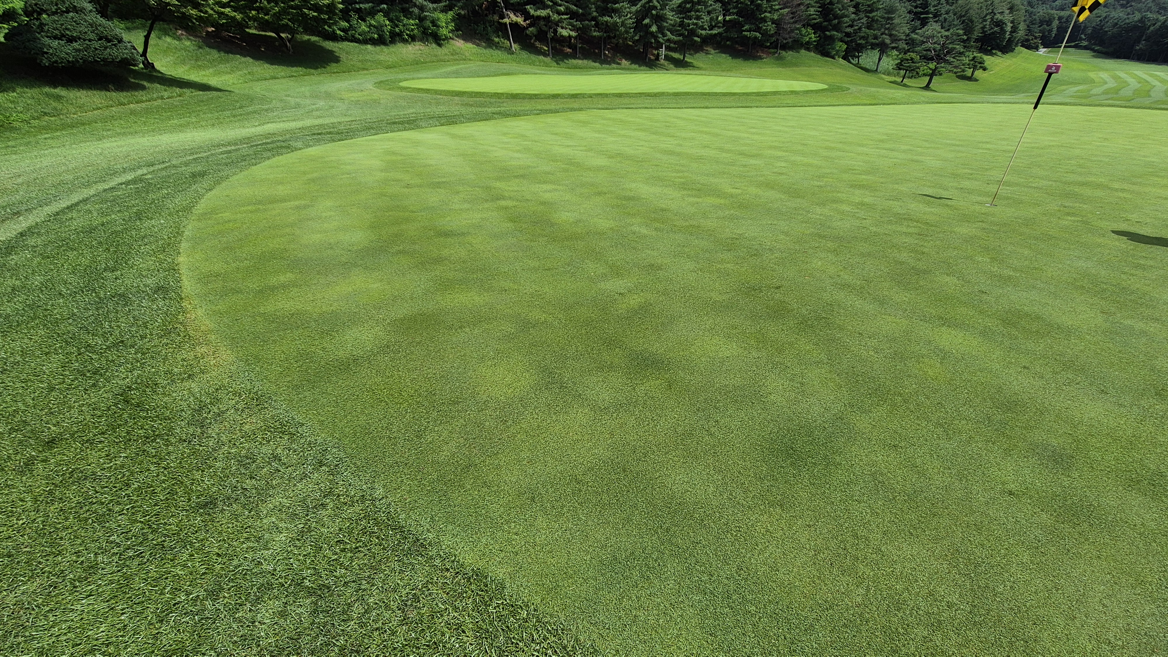 한성cc 오렌지-그린 코스 라운드 후기