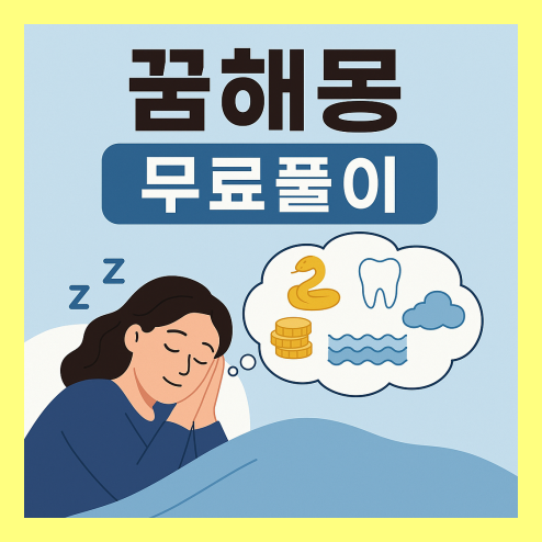 꿈해몽 무료풀이 운세 정보