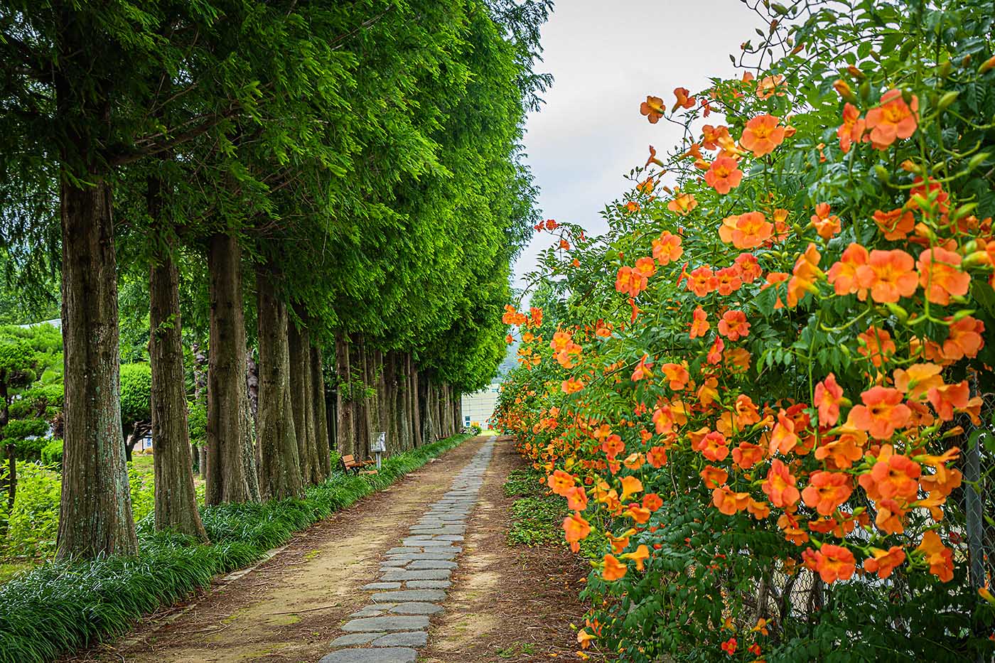 남해 보물섬식물원 관람 가이드 ❘ 온실·계절 포인트·체험 동선 총정리