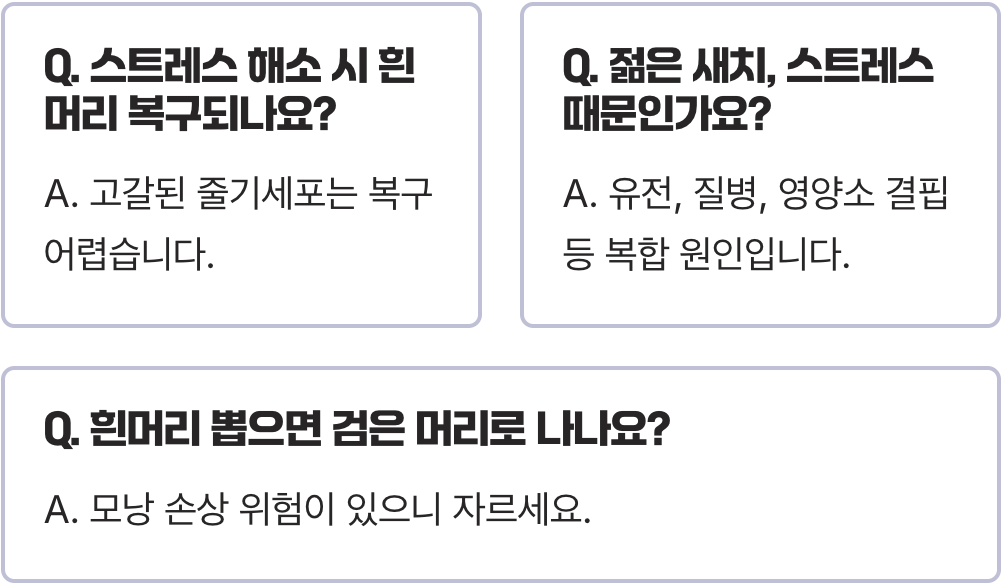 스트레스 받으면 정말 흰머리가 날까? (과학적 팩트체크)