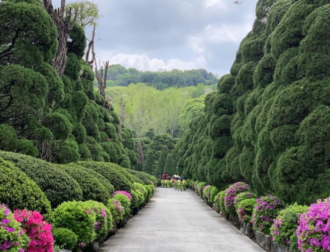 봄꽃 축제 당일여행