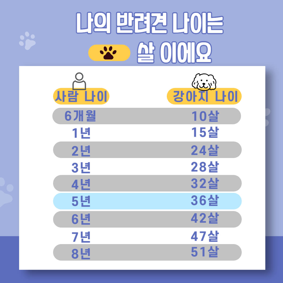 강아지 반려견 나이 사람 나이로 계산하는 방법