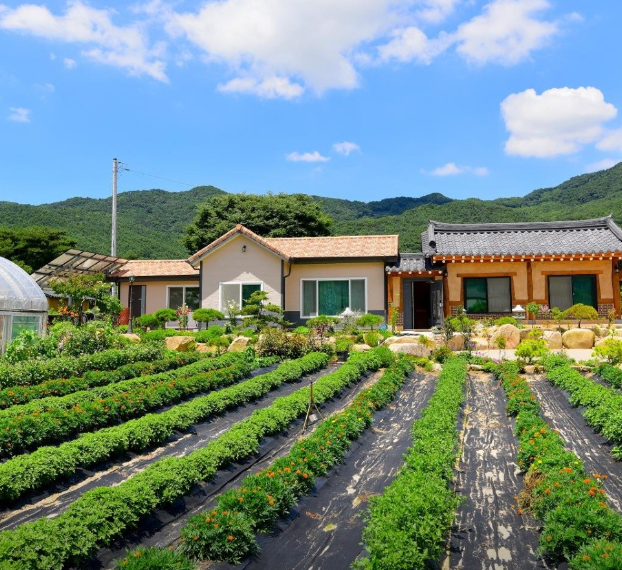 예산화수분꽃차교육농장