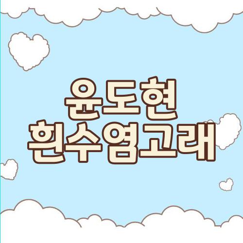 윤도현 흰수염고래