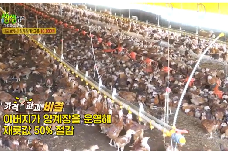 생생정보 가격파괴 why