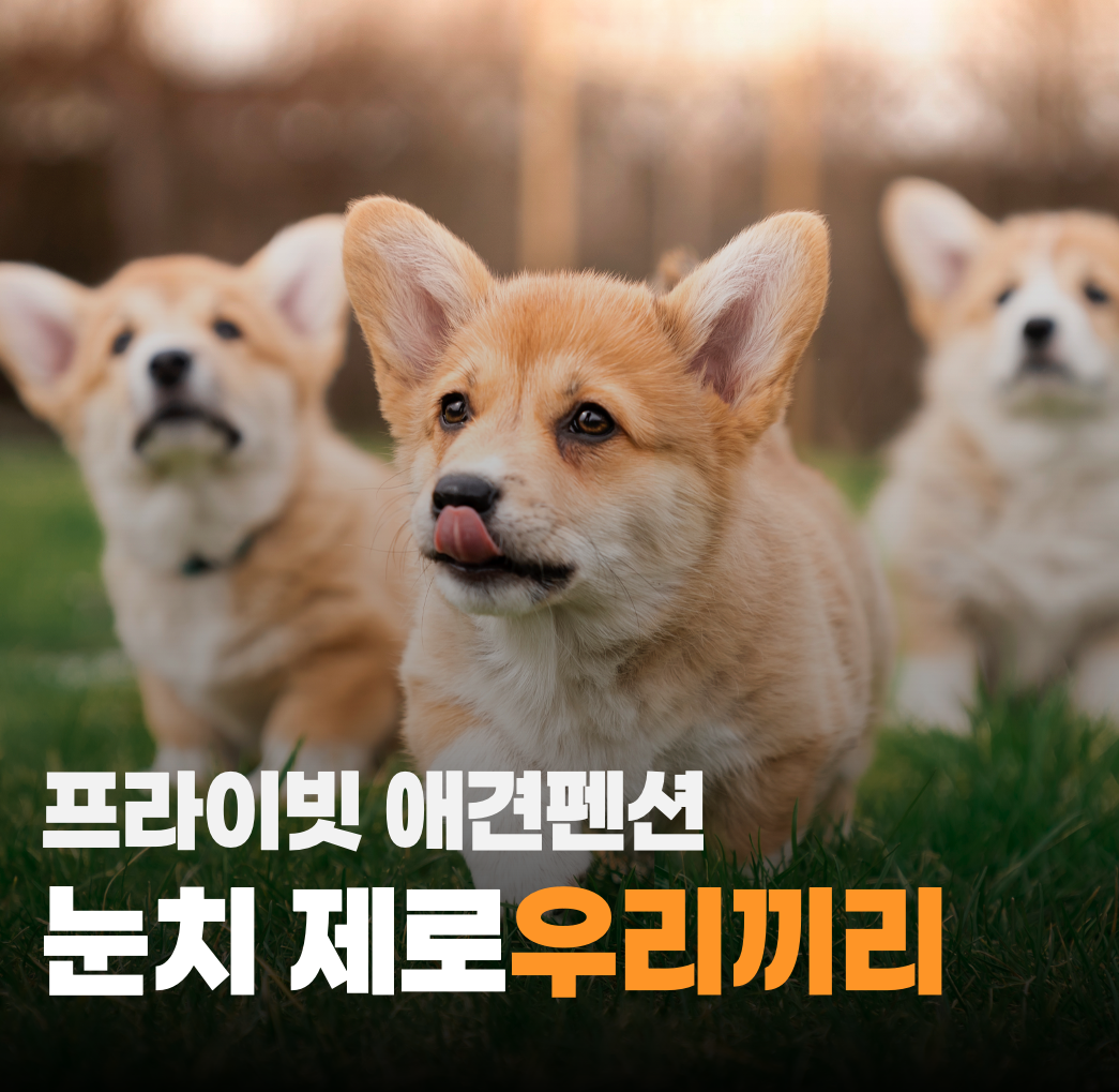 우리끼리 애견 펜션