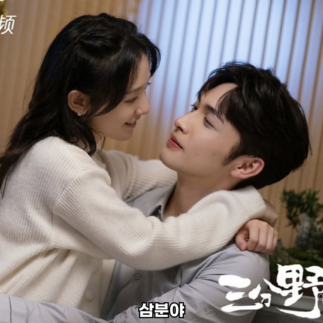 삼분야 중드 로맨스