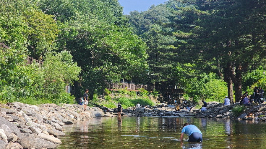 경기도계곡추천 가평어비계곡