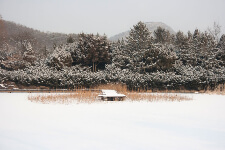 겨울