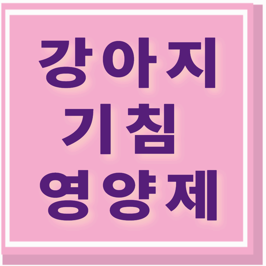 강아지 기관지 영양제 추천- 미세 먼지 많은 날