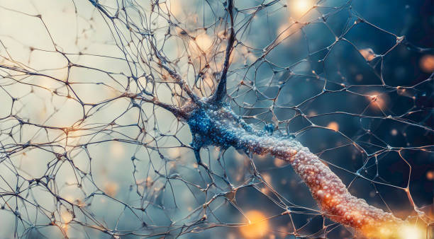 뉴질랜드의 치매 돌봄 자원봉사자 이야기