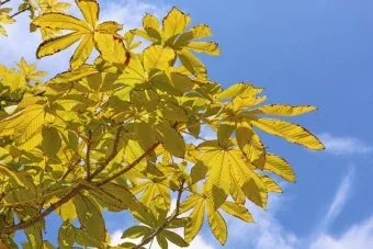 실내화분 환기 요령 미세먼지 많은날 창문관리 공기청정기 병행 팁_14