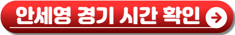 안세영 배드민턴