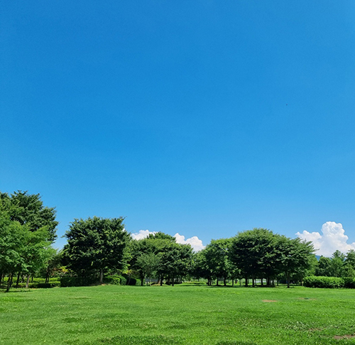 물의정원-풍경4