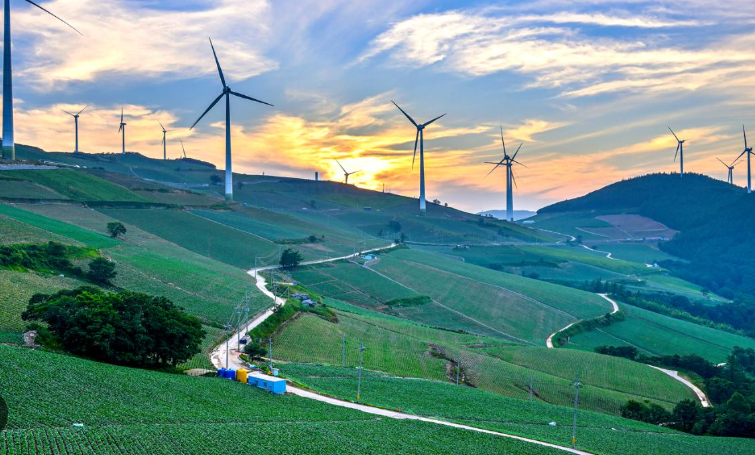 매봉산 바람의 언덕 100% 즐기기