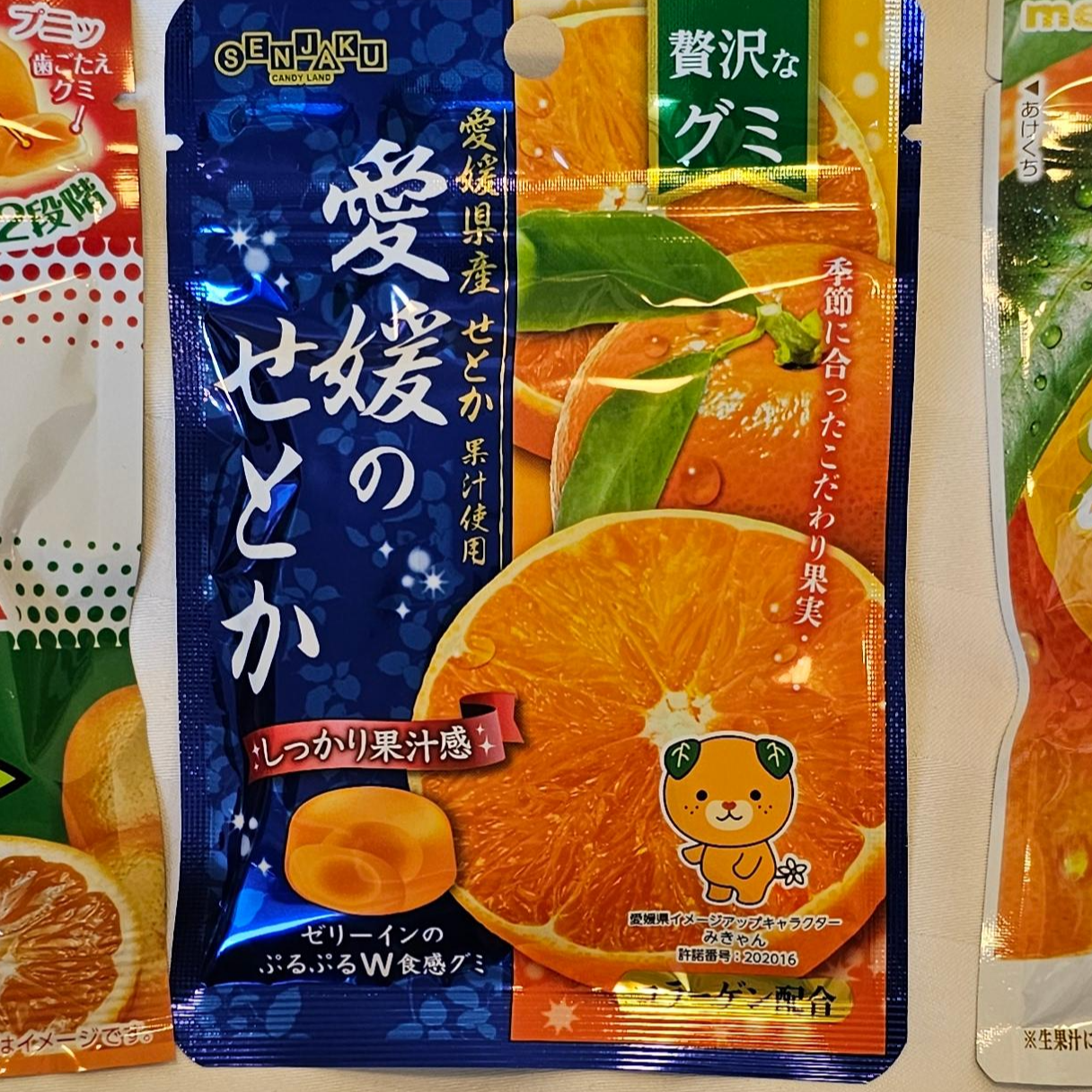 에히메_마쓰야마_구미_젤리비교
